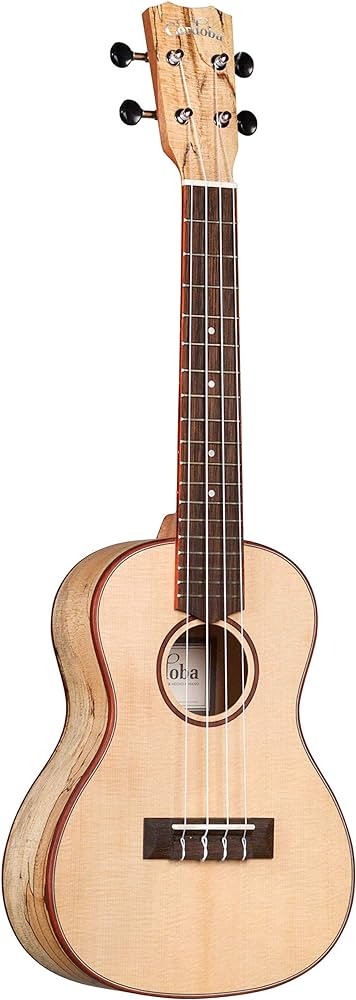 Best Ukulele Under $200