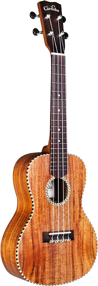 Best Concert Ukulele Bundles