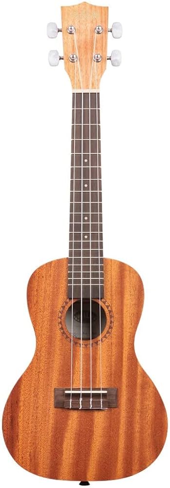 Best Concert Ukulele