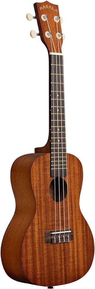 Best Ukulele Under 100