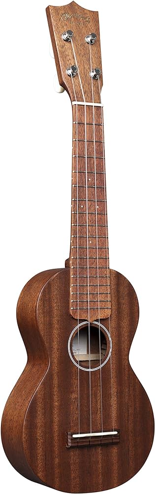 Best Concert Ukulele