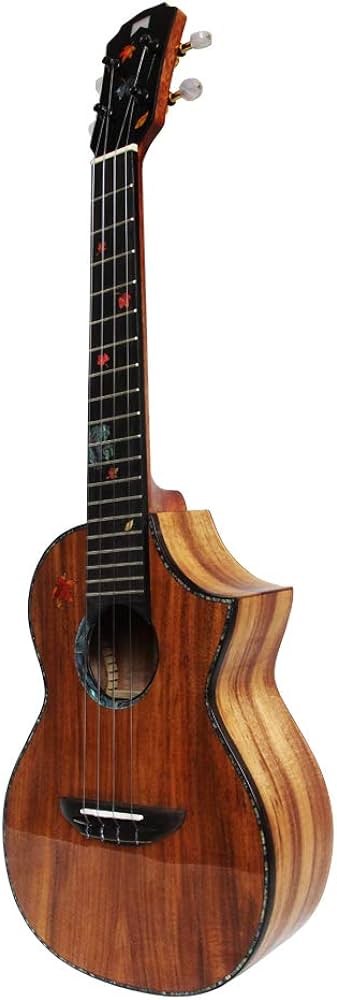 Best Ukulele For Intermediate Players