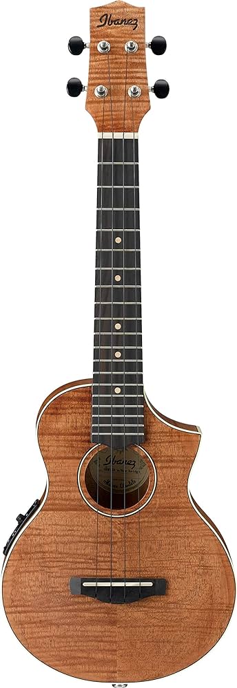 Best Ibanez Ukuleles