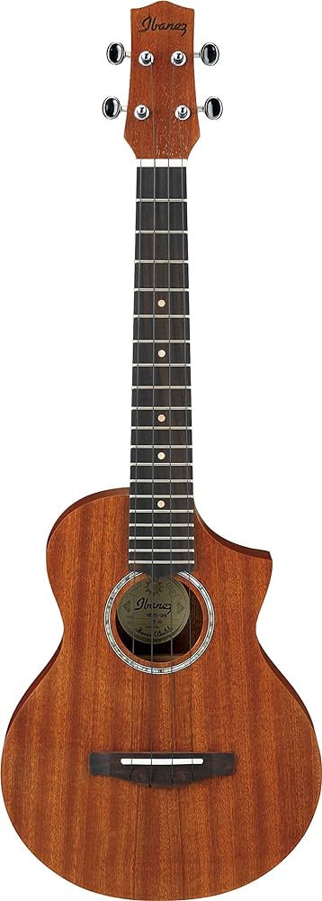 Best Ibanez Ukuleles