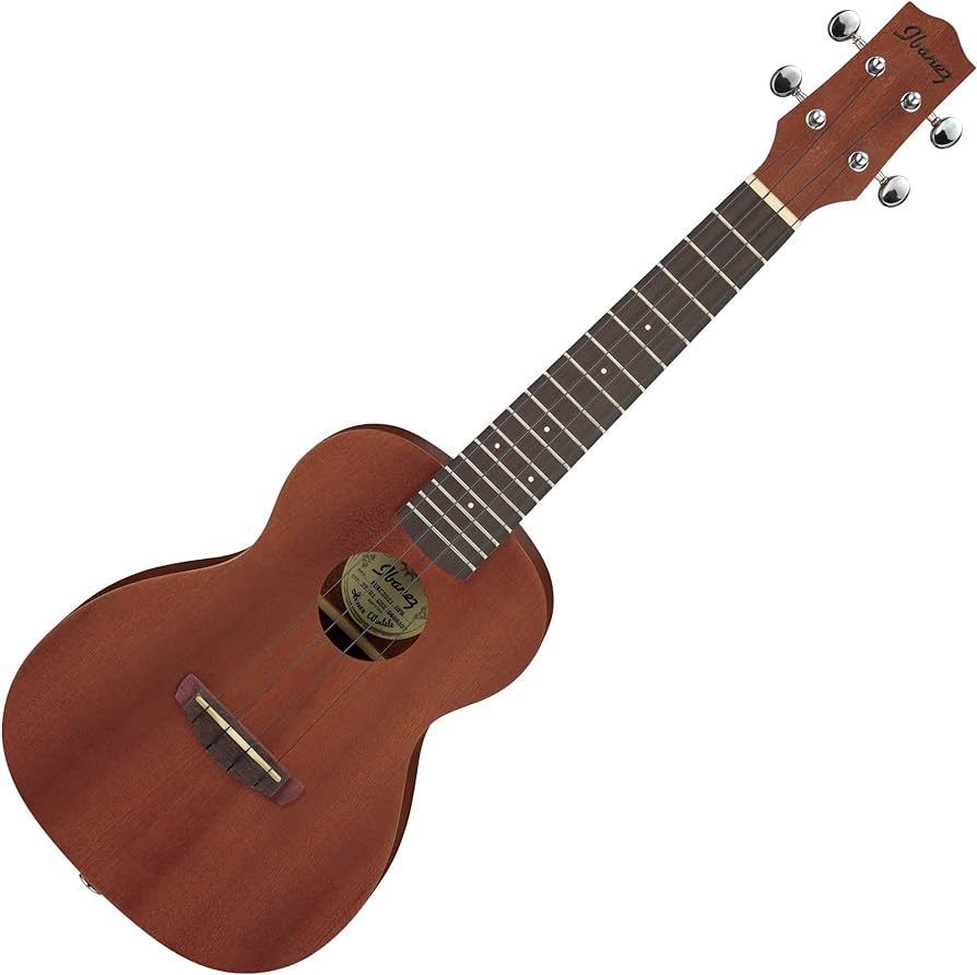 Best Ibanez Ukuleles