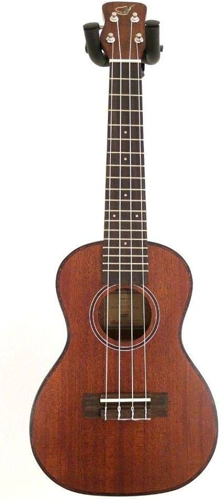 Best Journey Instruments Ukuleles