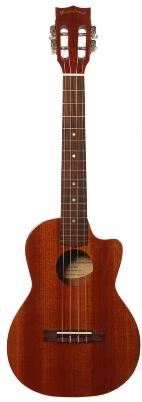 Best Mainland Ukuleles