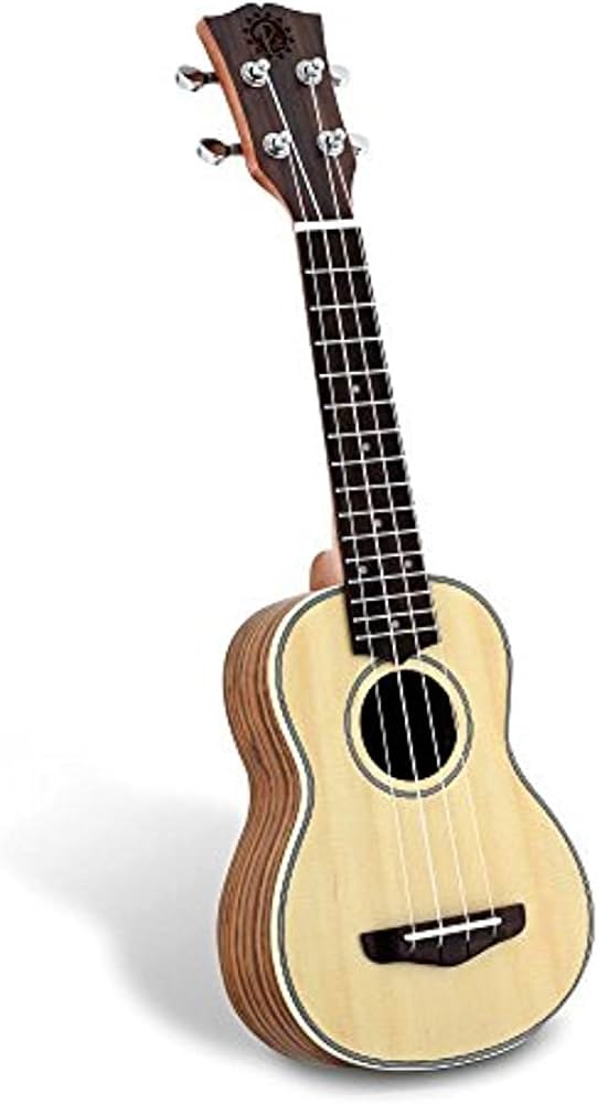 Best Pyle Ukuleles