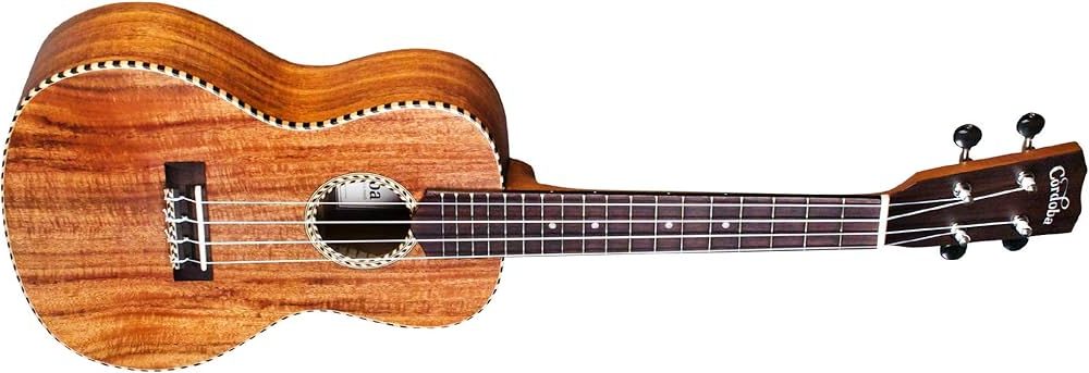 Best Concert Ukulele Bundles