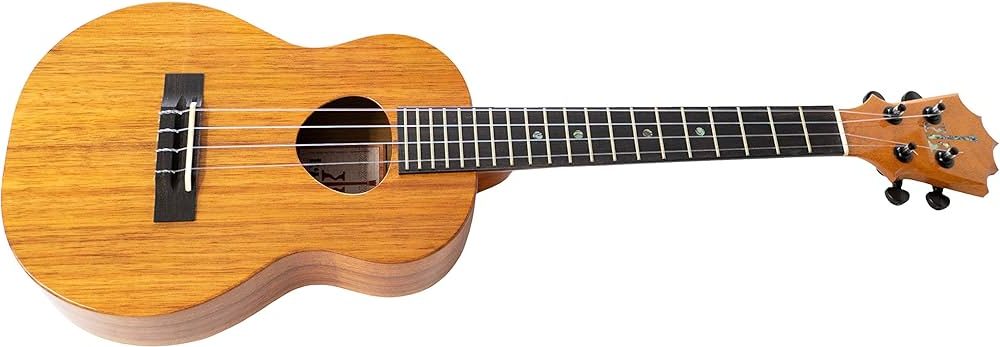 Best $20 Ukulele