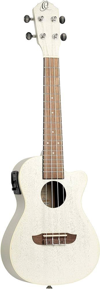 Best Ortega Ukuleles