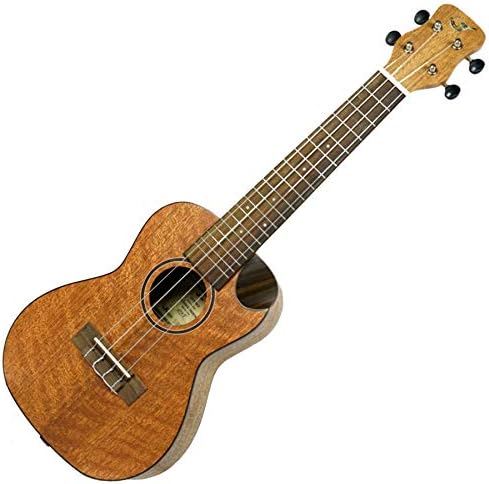 Best Journey Instruments Ukuleles