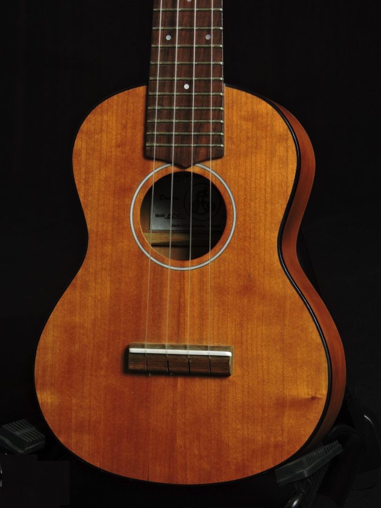 Best LoPrinzi Ukuleles