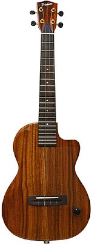 Best Ko'olau Ukuleles