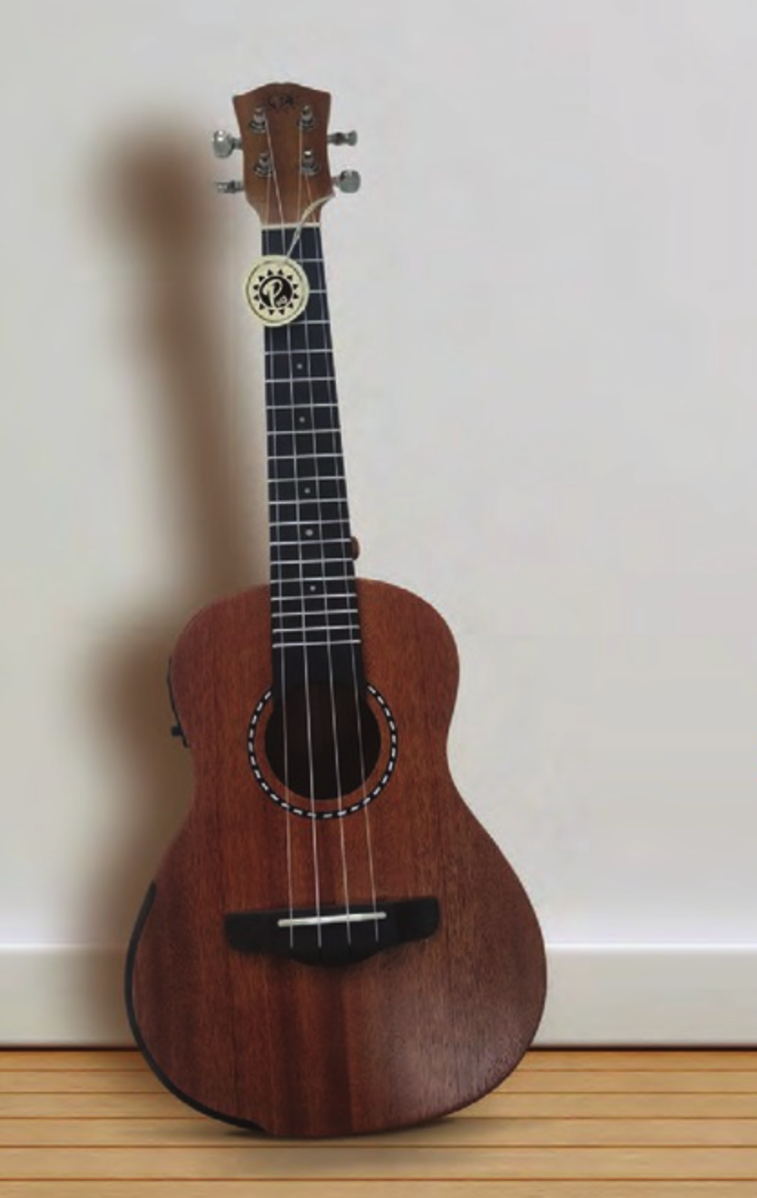 Best Pyle Ukuleles